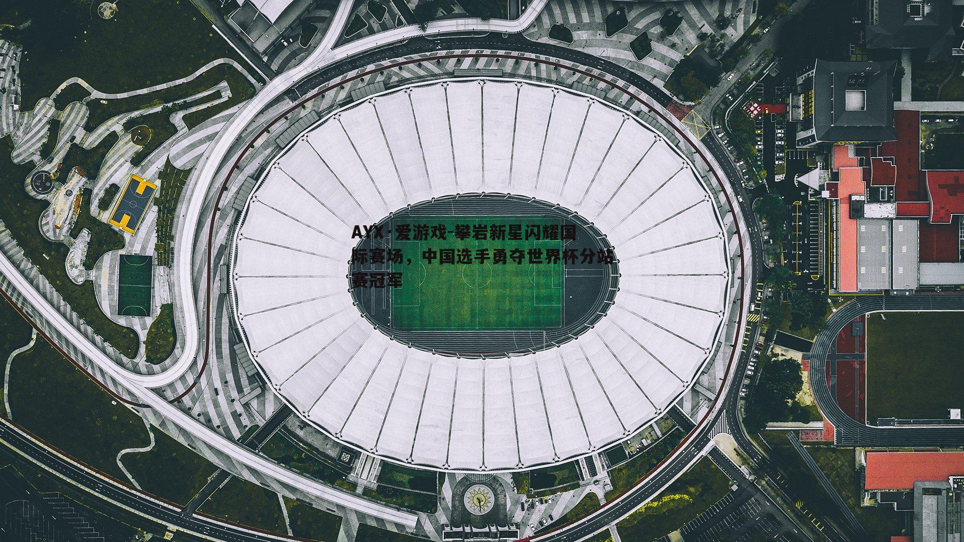 攀岩新星闪耀国际赛场，中国选手勇夺世界杯分站赛冠军